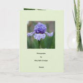 Iris Delight Karte (Rückseite)