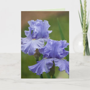 Iris Delight Karte