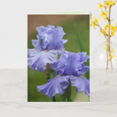 Iris Delight Karte (Gelbe Blume)