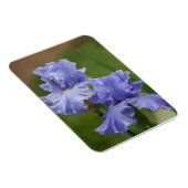 Iris Delight Magnet (Rechte Seite)