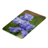Iris Delight Magnet (Linke Seite)
