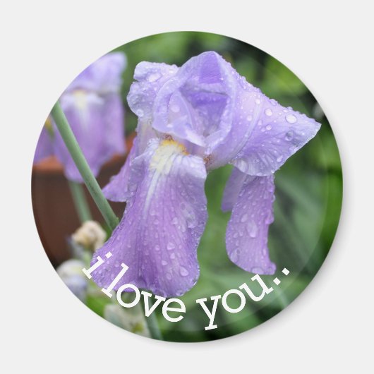 iris.drops. in Liebe. Magnet (Vorne)