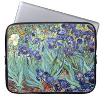 Iris durch Vincent van Gogh 1898
