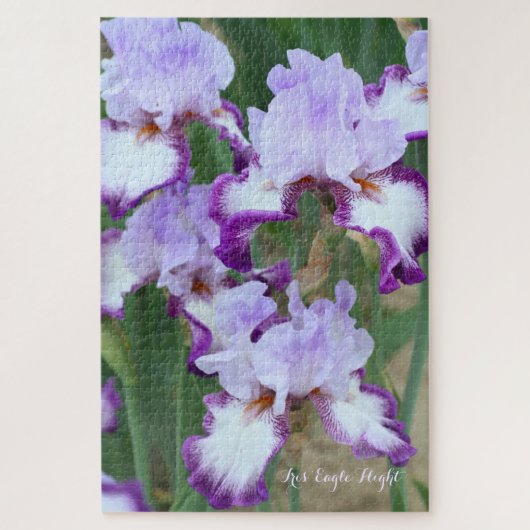 Iris"Eagle Flight" [Jigsaw puzzle: 1014P] Puzzle (Vertikal)