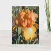 Iris erhält wohle Karte (Vorderseite)