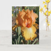 Iris erhält wohle Karte (Gelbe Blume)