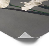 Iris - farbiges Foto - Japan Poster (Ecke)