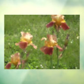 Iris-Fensterklammer Fensteraufkleber (Blatt 3)