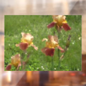 Iris-Fensterklammer Fensteraufkleber (Blatt 2)