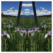 Iris Fields Stoff (Nahaufnahme)