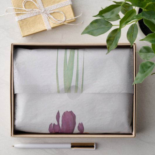 Iris Filifolia von William Dykes Seidenpapier (Geschenk)