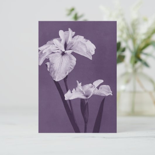 Iris Fine Art Dankeskarte (Stehend Vorderseite)
