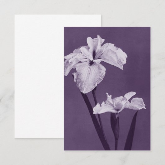 Iris Fine Art Dankeskarte (Vorne/Hinten)