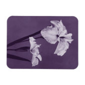 Iris Fine Art Magnet (Horizontal)