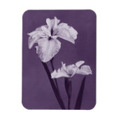 Iris Fine Art Magnet (Vertikal)