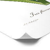 Iris flavescens poster (Ecke)