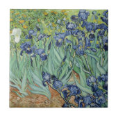 Iris Fliese (Vorderseite)