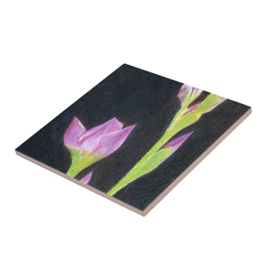 Iris Fliese (Seite)