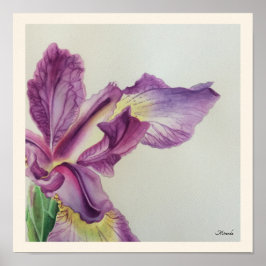 Iris Floral Art Print geeignet für Framing Miranda Poster