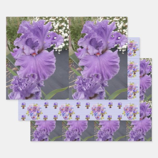 Iris Flower Flowers Purple Lavender Lilac Floral Geschenkpapier Set (Set)