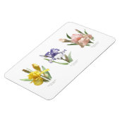 Iris Flower Garden Magnet (Linke Seite)