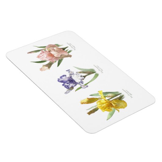 Iris Flower Garden Magnet (Rechte Seite)