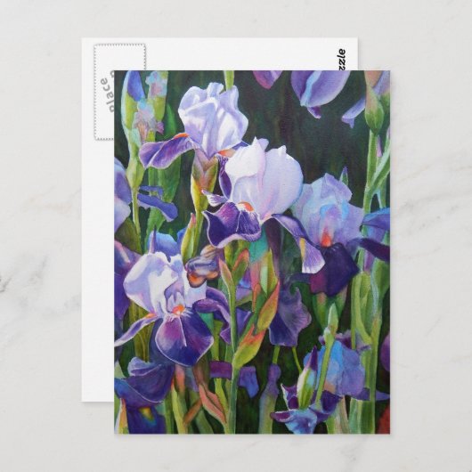 Iris Flower Garden Postkarte (Vorne/Hinten)
