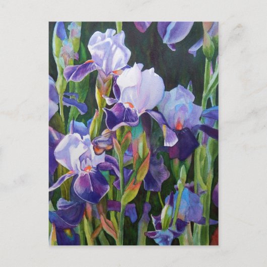 Iris Flower Garden Postkarte (Vorderseite)