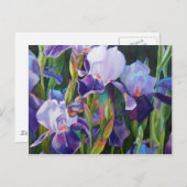 Iris Flower Garden Postkarte (Vorne/Hinten)