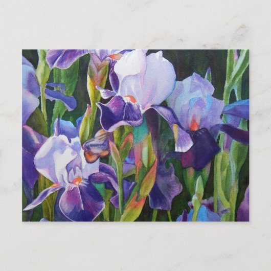Iris Flower Garden Postkarte (Vorderseite)