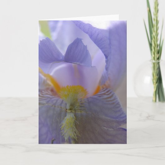 Iris Flower Karte (Vorderseite)