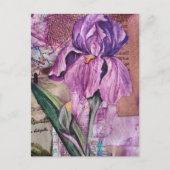 Iris Flower mixed media collage Postcard Postkarte (Vorderseite)