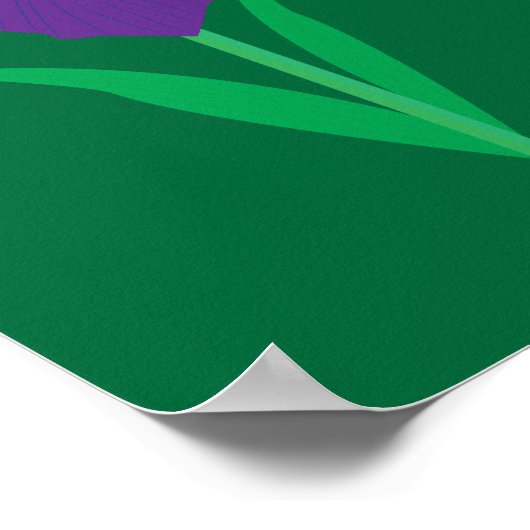 Iris Flower Poster (Ecke)