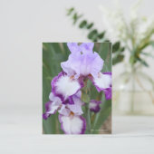 Iris "Flug" Postkarte] ポ ス ト Eド Postkarte (Stehend Vorderseite)