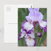 Iris "Flug" Postkarte] ポ ス ト Eド Postkarte (Vorne/Hinten)