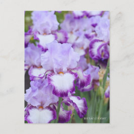 Iris "Flug" Postkarte] ポ ス ト Eド Postkarte