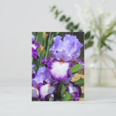 Iris "Flug" Postkarte] ポ ス ト Eド Postkarte (Stehend Vorderseite)