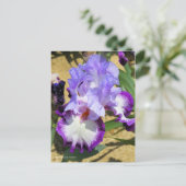 Iris "Flug" Postkarte] ポ ス ト Eド Postkarte (Stehend Vorderseite)