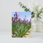 Iris "Flug" Postkarte] ポ ス ト Eド Postkarte (Stehend Vorderseite)