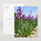 Iris "Flug" Postkarte] ポ ス ト Eド Postkarte (Vorne/Hinten)