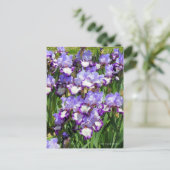 Iris "Flug" Postkarte] ポ ス ト Eド Postkarte (Stehend Vorderseite)