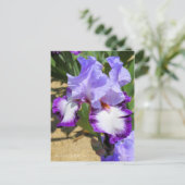 Iris "Flug" Postkarte] ポ ス ト Eド Postkarte (Stehend Vorderseite)