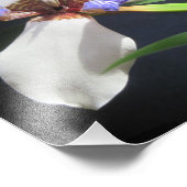 Iris Foto Print (Ecke)