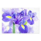 Iris Foto Print (Vorne)
