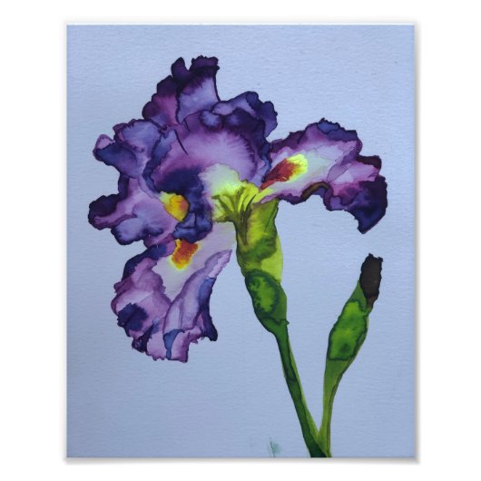 Iris Fotodruck (Vorne)