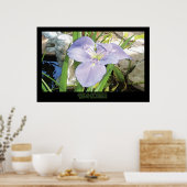 "Iris & Fountain" - Drucken (Kein Schatten) Poster (Küche)