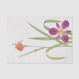 Iris Fulva und Iris Fulvala von William Dykes Seidenpapier