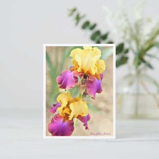Iris Gala Madrid Postkarte (Stehend Vorderseite)