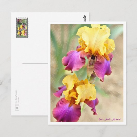 Iris Gala Madrid Postkarte (Vorne/Hinten)