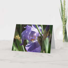 Iris Garden Grußkarte Karte